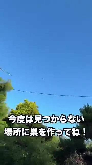 今度は見つからない