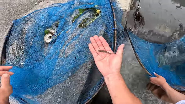 手の上に小さな魚