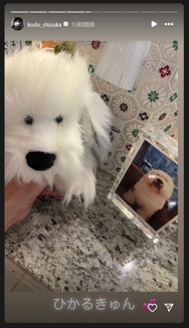 工藤静香の愛犬のぬいぐるみ