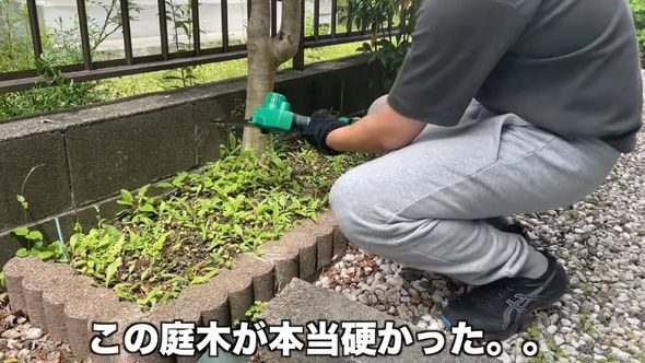 幹が硬い木にチェンソーで挑む