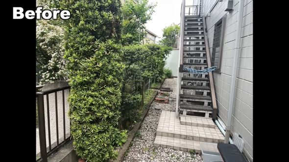庭木を伐採する前の裏庭