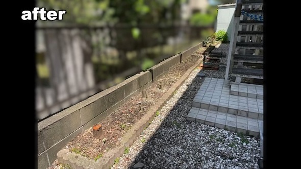 庭木を伐採した後の裏庭