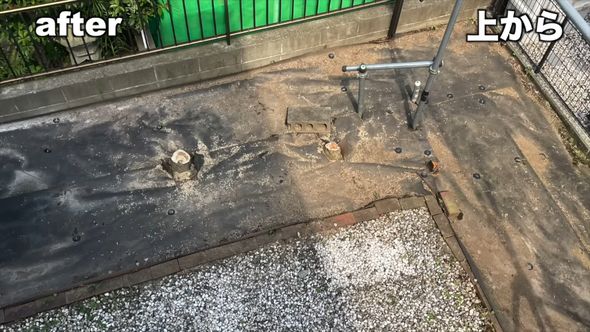 イヌツゲとモミジを伐採した後の上からの光景