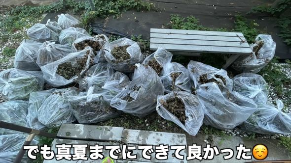 ごみ袋に入れられた大量の草と枝