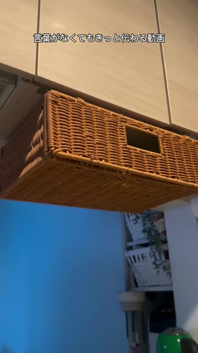 3COINSから販売されているプラスチック製の棚下収納ラック