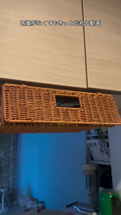 取り付けられたプラスチック製の棚下収納ラックの前面