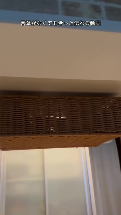 取り付けられたプラスチック製の棚下収納ラックの背面