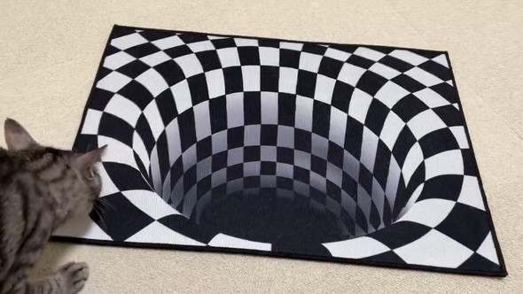 だまし絵の落とし穴を見つめる猫ちゃん