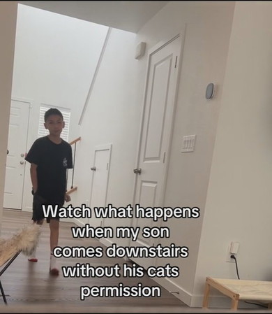 降りてきた男の子