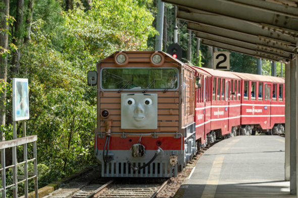 きかんしゃトーマス 大井川鐵道 トビー 単独 入庫回送 通過 踏切