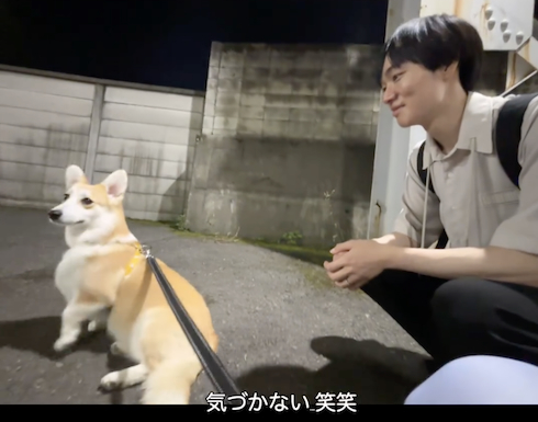 パパを待つコーギー