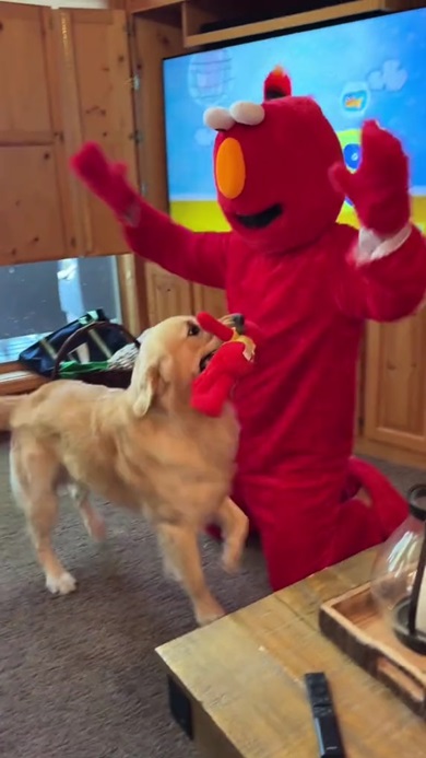 エルモとワンコ