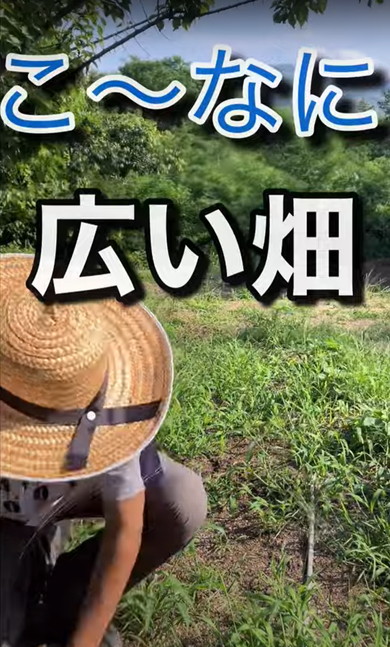 広い畑の草刈り