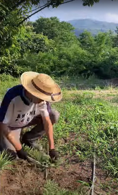 広い畑の草刈り
