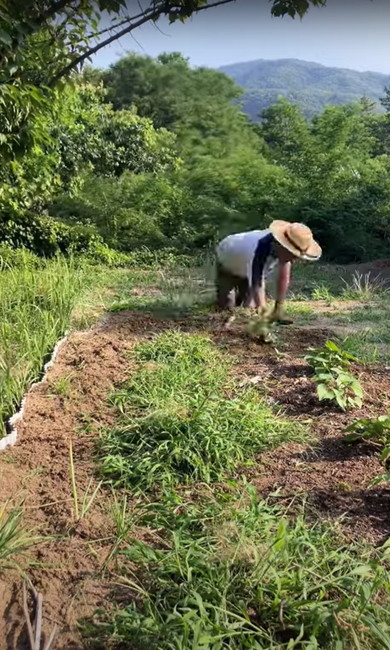広い畑の草刈り