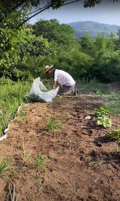 広い畑の草刈り
