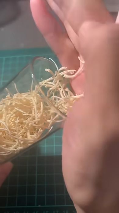 ペットだったコーンスネークの骨格標本を作るため骨をびんに詰める