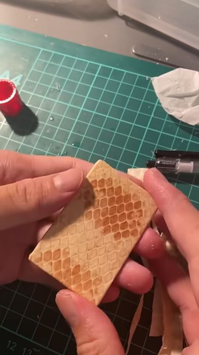 ペットだったコーンスネークの骨格標本を作るため皮をプレート状に加工