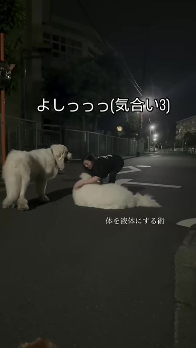 「体を液体にする術」を繰り出して抱き上げようとする飼い主から逃れるワンコ
