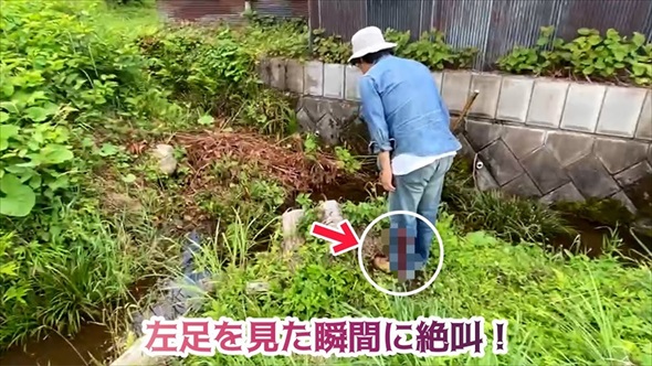 パンツの中に異変を感じ、中を見てみたら