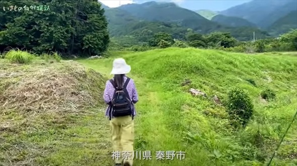 パンツの中に異変を感じ、中を見てみたら