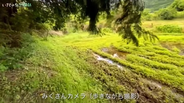 パンツの中に異変を感じ、中を見てみたら