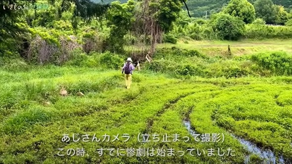 パンツの中に異変を感じ、中を見てみたら