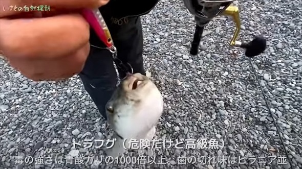 パンツの中に異変を感じ、中を見てみたら