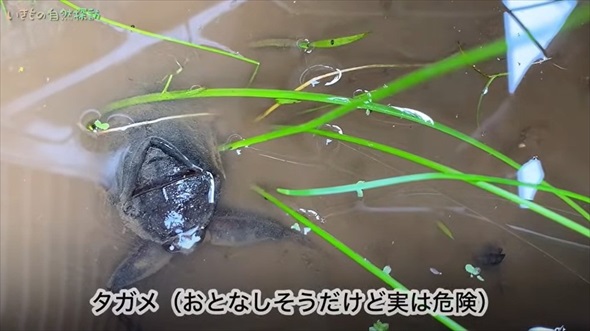 パンツの中に異変を感じ、中を見てみたら