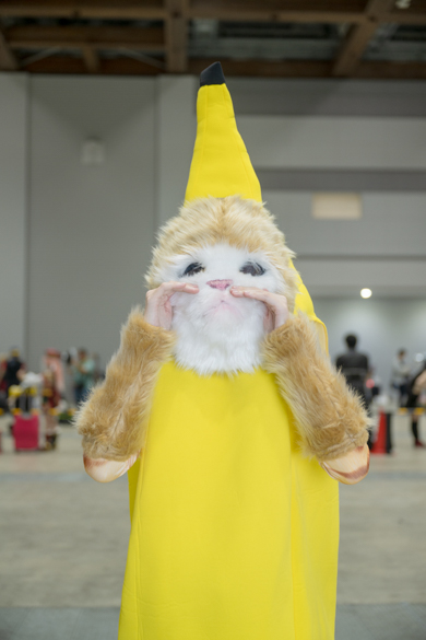 ぴあし／山田ぴあ乃の猫ミームのバナナ