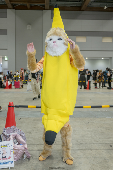 ぴあし／山田ぴあ乃の猫ミームのバナナ