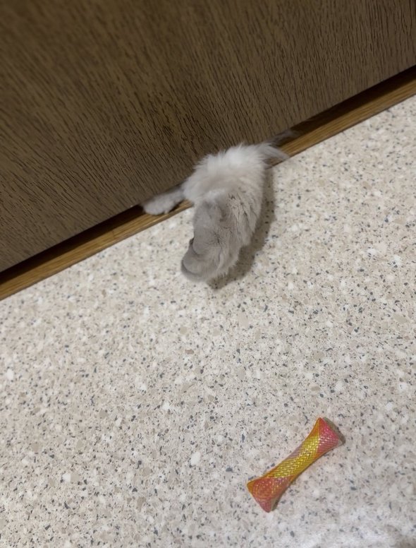 犯人はまさかのいれぶんくん