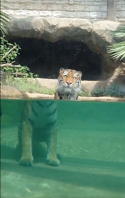 気持ちよさそうななごちゃん