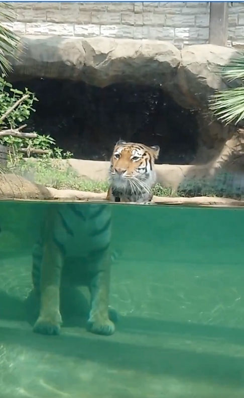 おすまし顔のなごちゃん