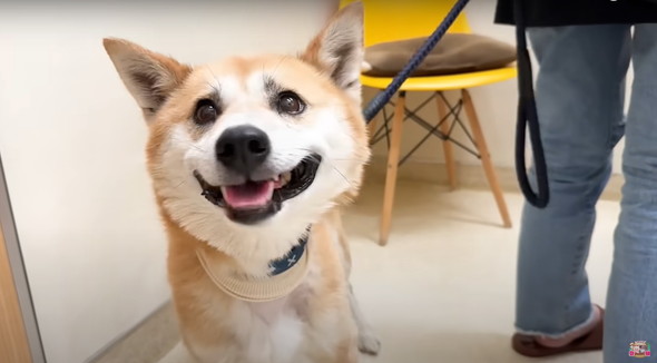 退院したジョンくん