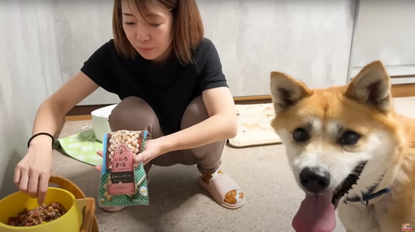 退院したジョンくん