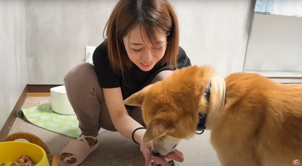 退院したジョンくん