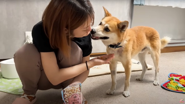 退院したジョンくん