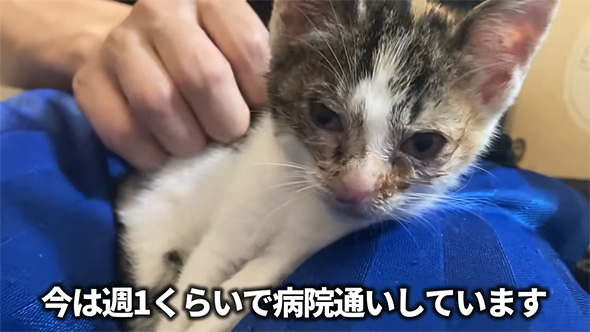 今は週1くらいで