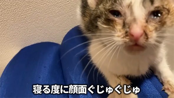 寝るたびに