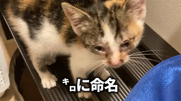 キロに命名