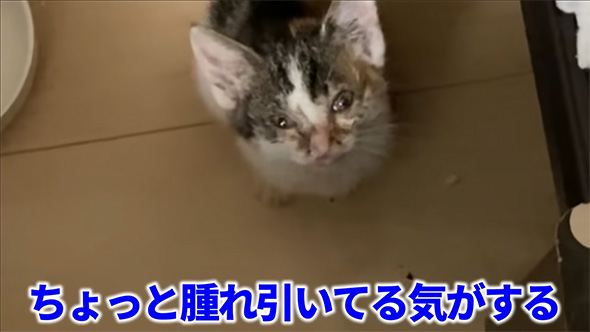 ちょっと腫れ引いてる