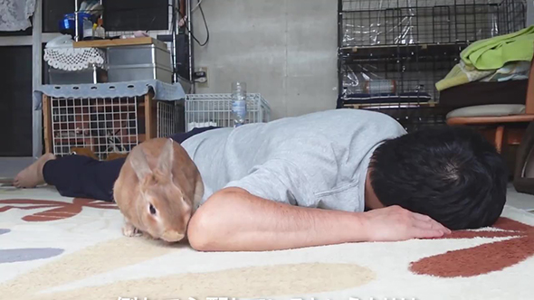 ひじをチェックするウサギさん