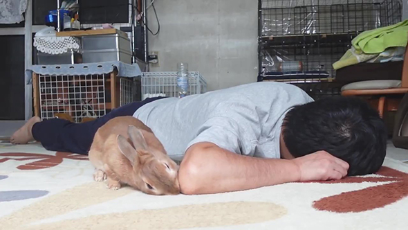 お顔をななめにしてひじをかじるウサギさん