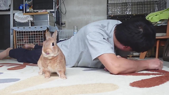 舌ペロウサギさん