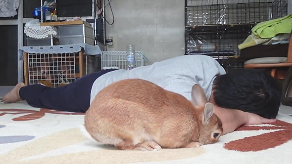 手前にきてひじをかじるウサギさん