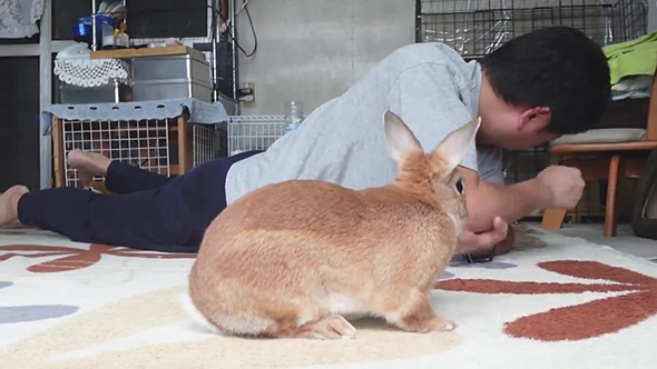 ひじを押さえる飼い主さん