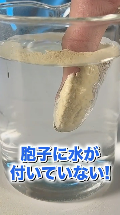 植物 胞子 水に入れる 火をつける 実験 燃える