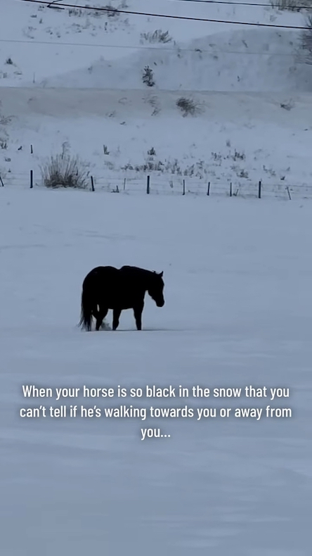 こちらに向かって歩いてきてる？