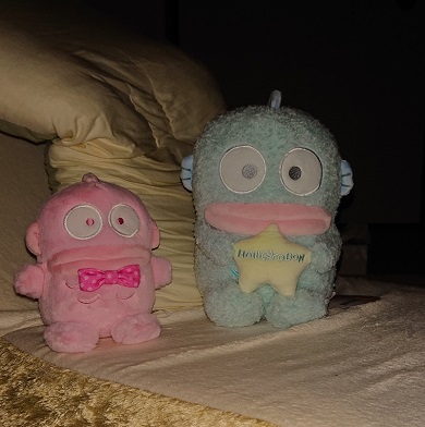 お気に入りのハンギョドンのぬいぐるみ